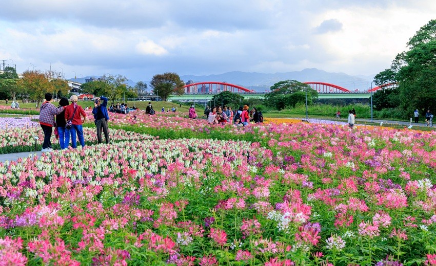 臺北市政府工務局水利工程處～從工程治理到AI預警，打造「會思考」的水利城市