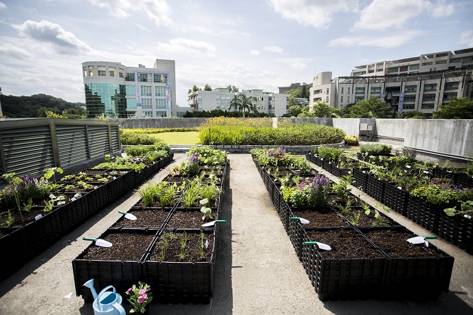 新竹市推綠屋頂補助計畫 建構綠能低碳城市