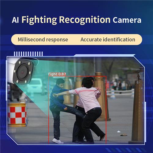 AI fight Identification cameras